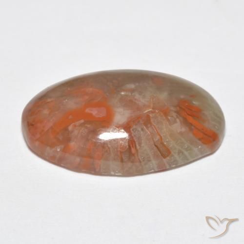 Corail Multicolore naturelle ovale, 8.18 ct, Translucide