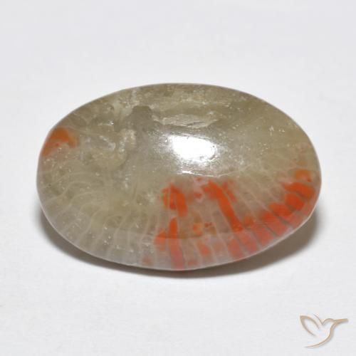 Corail Multicolore naturelle ovale, 6.51 ct, Translucide