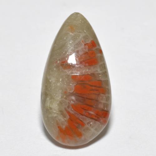 Corail multicolore naturelle en forme de poire, 4,62 ct, translucide