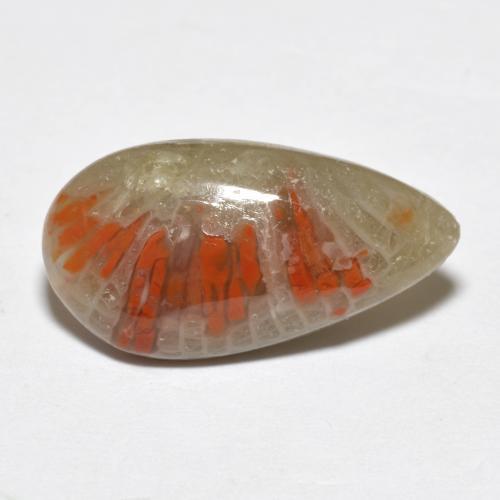 Corail multicolore naturelle en forme de poire, 4,62 ct, translucide