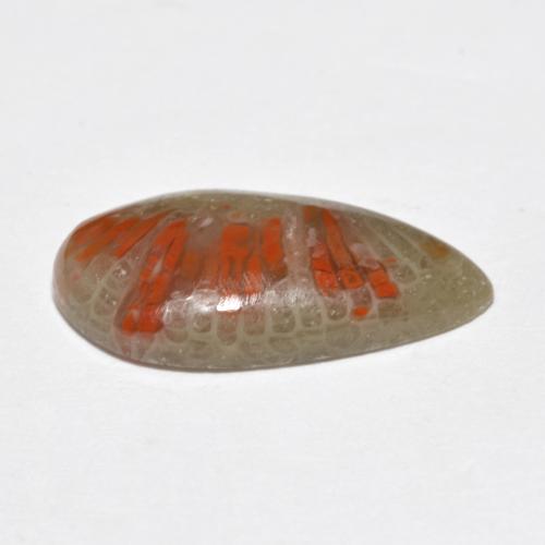 Corail multicolore naturelle en forme de poire, 4,62 ct, translucide