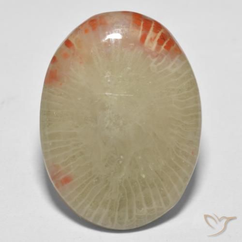 13.10ct Naturel Multicolore Corail, ovale, Translucide