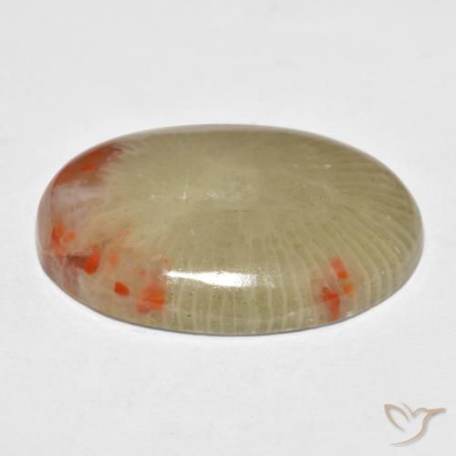 Corail Multicolore naturelle ovale, 13.10 ct, Translucide