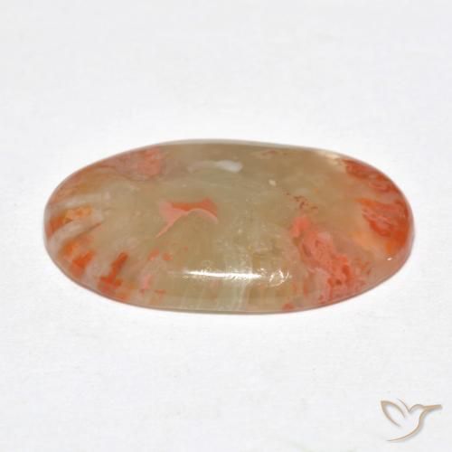 Corail Multicolore naturelle ovale, 6.23 ct, Translucide