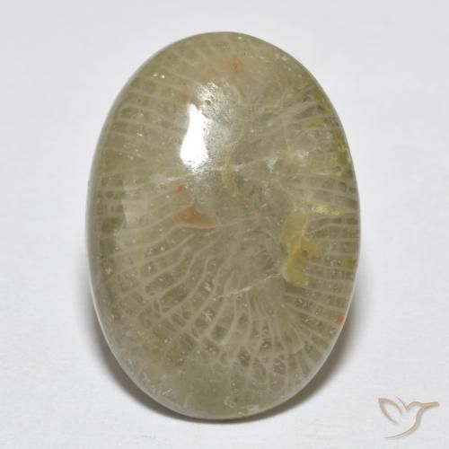 7.96ct Naturel Multicolore Corail, ovale, Opaque