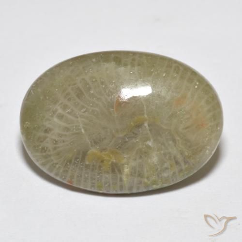 Corail Multicolore naturelle ovale, 7.96 ct, Opaque