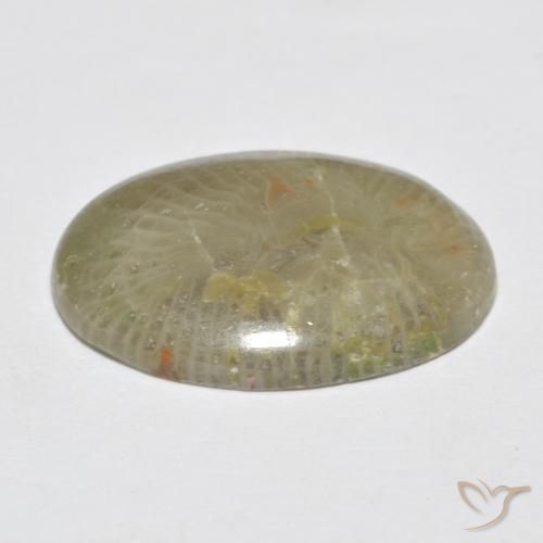 Corail Multicolore naturelle ovale, 7.96 ct, Opaque