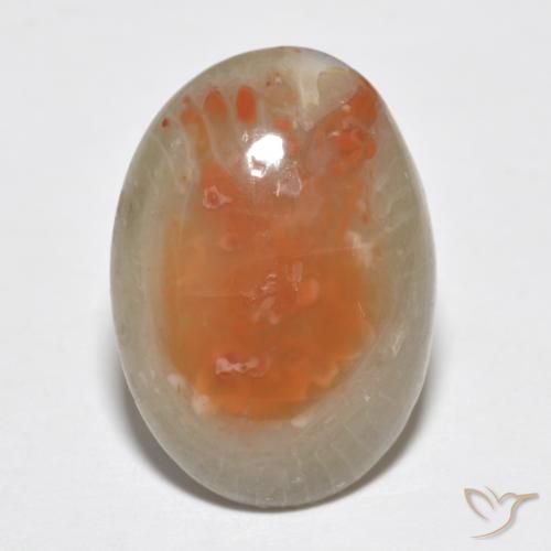 7.46ct Naturel Multicolore Corail, ovale, Translucide