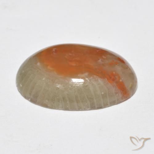 Corail Multicolore naturelle ovale, 7.46 ct, Translucide