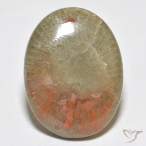10.63ct Naturel Multicolore Corail, ovale, Translucide