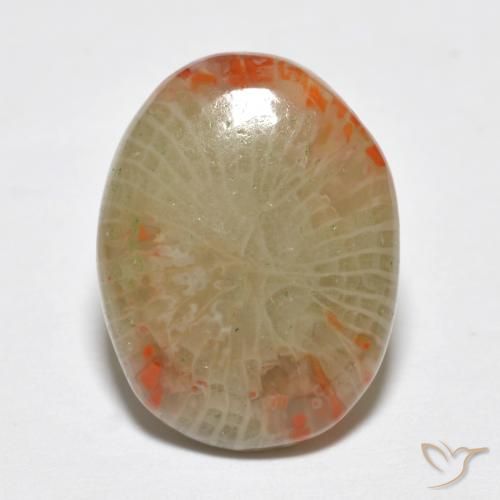 5.78ct Naturel Multicolore Corail, ovale, Translucide