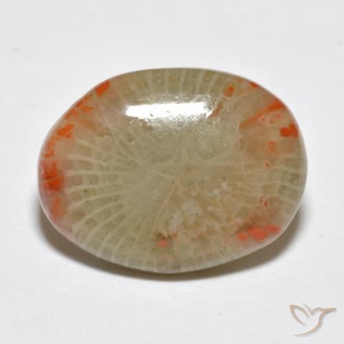 Corail Multicolore naturelle ovale, 5.78 ct, Translucide