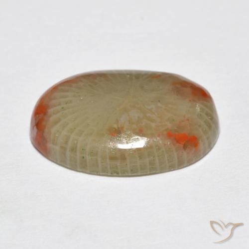Corail Multicolore naturelle ovale, 5.78 ct, Translucide