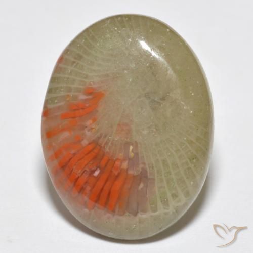 10.77ct Naturel Multicolore Corail, ovale, Translucide