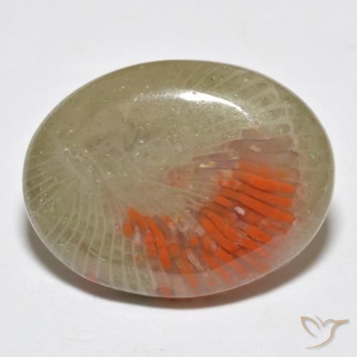 Corail Multicolore naturelle ovale, 10.77 ct, Translucide