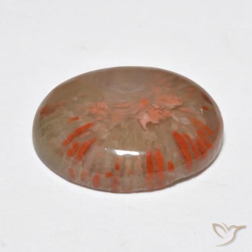 Corail Multicolore naturelle ovale, 9.15 ct, Translucide