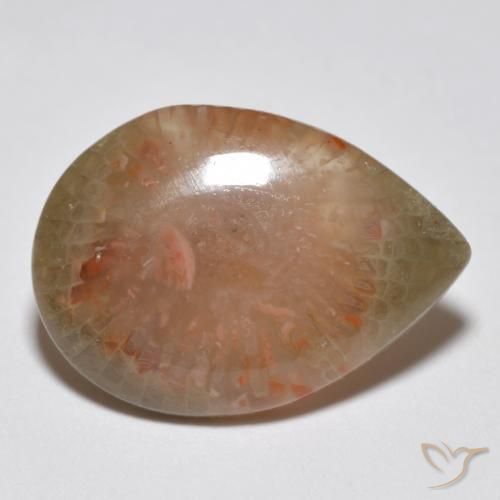 Corail Multicolore naturelle En forme de poire, 6.81 ct, Translucide