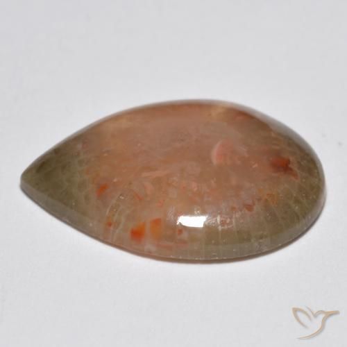 Corail Multicolore naturelle En forme de poire, 6.81 ct, Translucide