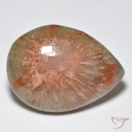 corail Multicolore naturelle En forme de poire, 11.49 ct, Opaque
