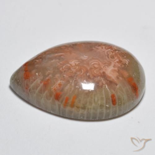 corail Multicolore naturelle En forme de poire, 11.49 ct, Opaque