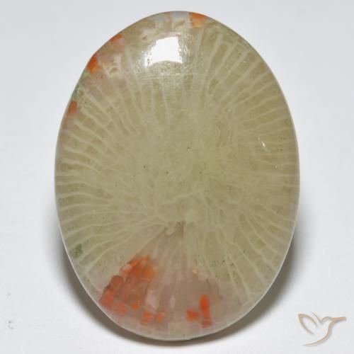 12.56ct Naturel Multicolore Corail, ovale, Translucide