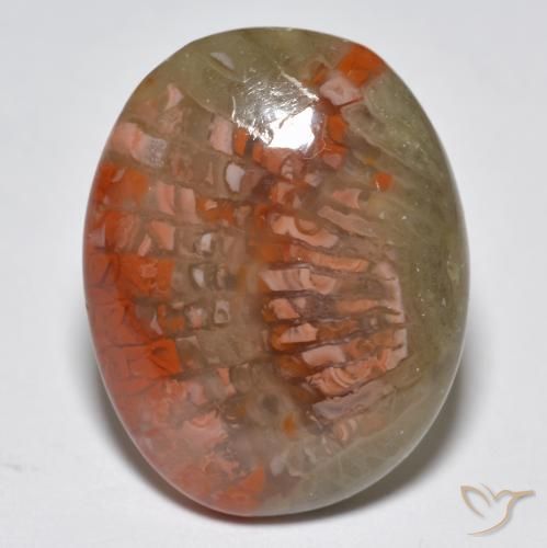 10.87ct Naturel Multicolore Corail, ovale, Translucide
