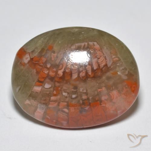 Corail Multicolore naturelle ovale, 10.87 ct, Translucide