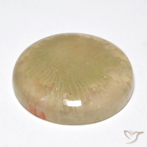 Corail Multicolore naturelle Tour, 10.55 ct, Translucide