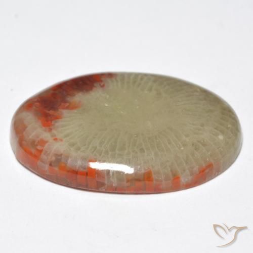 Corail Multicolore naturelle ovale, 10.32 ct, Translucide