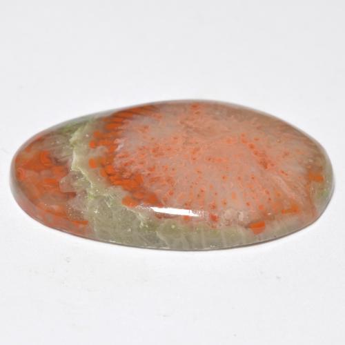 Corail multicolore naturelle coupe ovale, 11,38 ct, translucide
