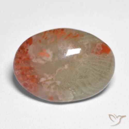Corail Multicolore naturelle ovale, 5.88 ct, Translucide