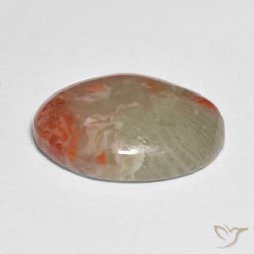 Corail Multicolore naturelle ovale, 5.88 ct, Translucide