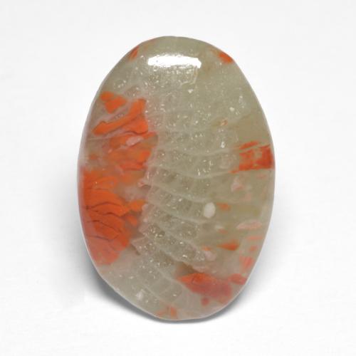 Corail multicolore naturelle coupe ovale, 5,03 ct, translucide