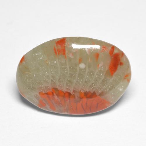 Corail multicolore naturelle coupe ovale, 5,03 ct, translucide