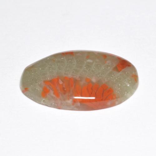 Corail multicolore naturelle coupe ovale, 5,03 ct, translucide