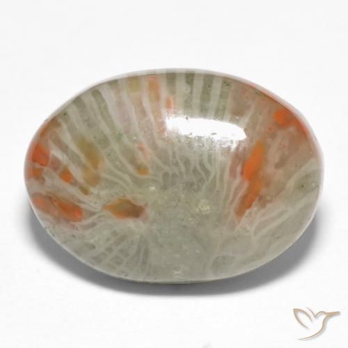 Corail Multicolore naturelle ovale, 6.74 ct, Opaque