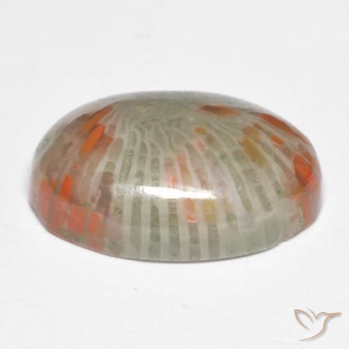 Corail Multicolore naturelle ovale, 6.74 ct, Opaque