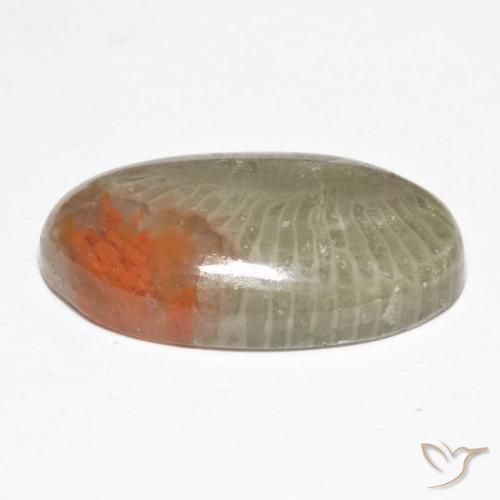 Corail Multicolore naturelle ovale, 8.25 ct, Translucide