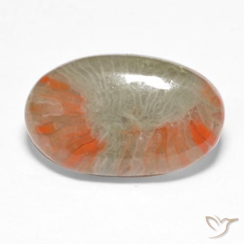 Corail Multicolore naturelle ovale, 5.68 ct, Translucide