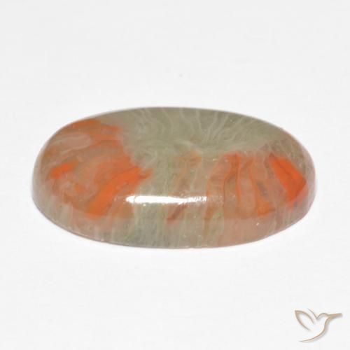 Corail Multicolore naturelle ovale, 5.68 ct, Translucide