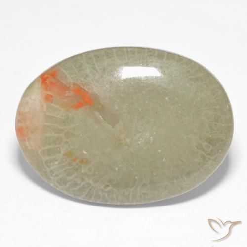 Corail Multicolore naturelle ovale, 15.23 ct, Translucide