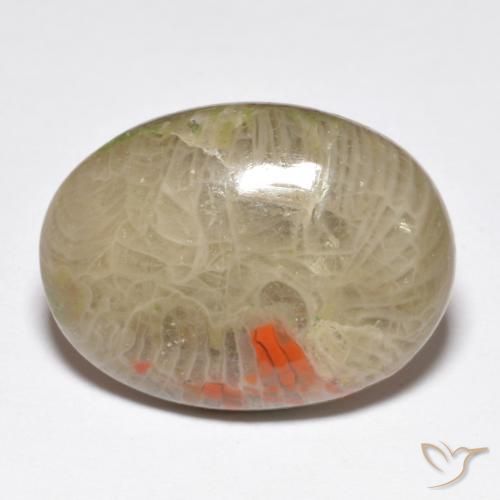 Corail Multicolore naturelle ovale, 10.40 ct, Opaque