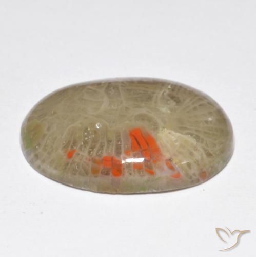 Corail Multicolore naturelle ovale, 10.40 ct, Opaque