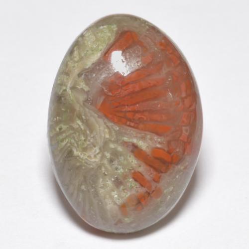 Corail Multicolore naturelle Coupe ovale, 9.07 ct, Translucide