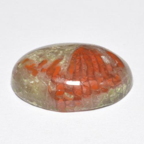 Corail Multicolore naturelle Coupe ovale, 9.07 ct, Translucide