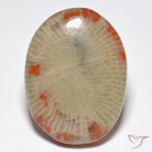 14.86ct Naturel Multicolore Corail, ovale, Translucide