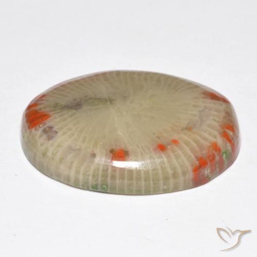 Corail Multicolore naturelle ovale, 14.86 ct, Translucide
