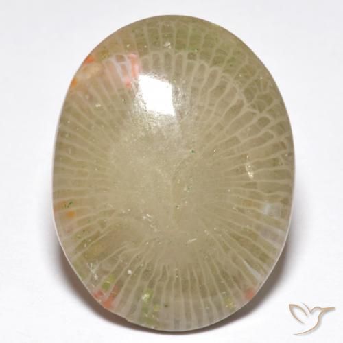 13.91ct Naturel Multicolore Corail, ovale, Translucide