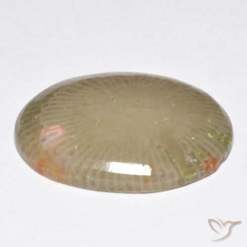 Corail Multicolore naturelle ovale, 13.91 ct, Translucide