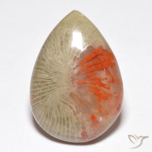 10.46ct Naturel Multicolore Corail, En forme de poire, Translucide